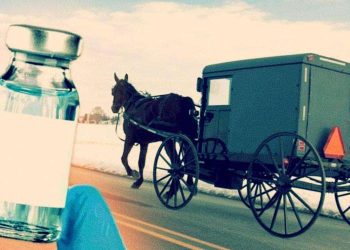Amish Vaccines