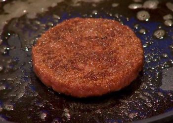 Lab Grown Meat