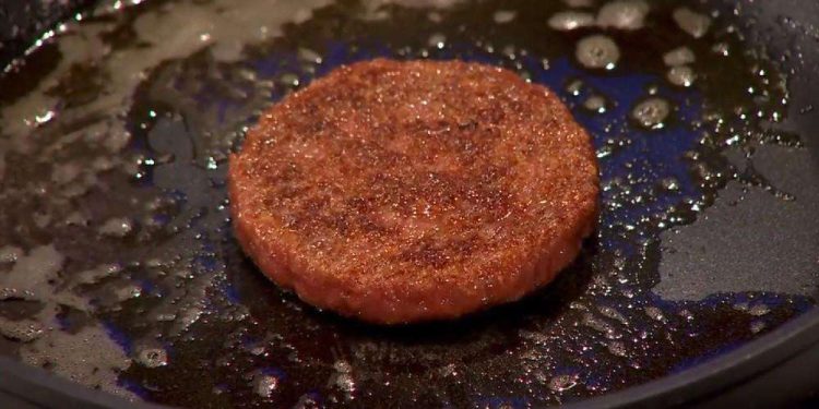 Lab Grown Meat