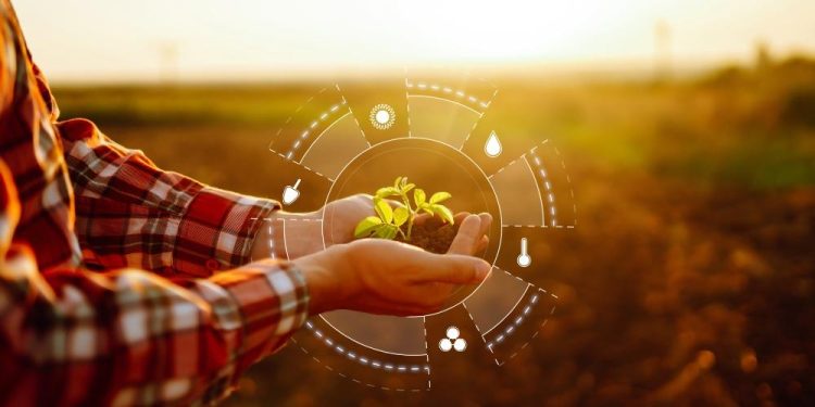 Organic Farming